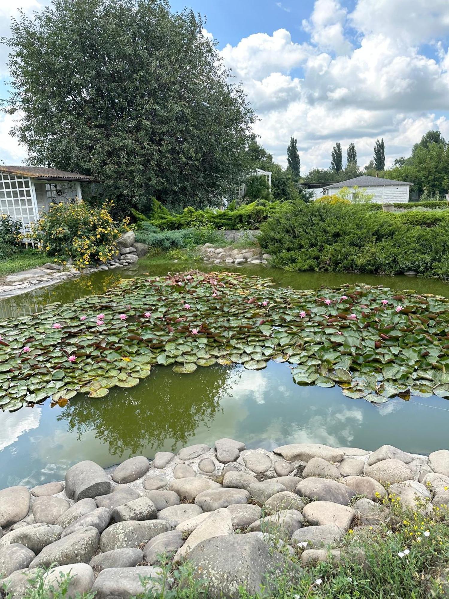 Maison Blanche Ecohousе Mytnitsa Экстерьер фото